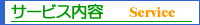 �T�[�r�X���e